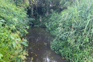 Polluted water in Ogun