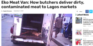 Eko Meat Van Punch Healthwise